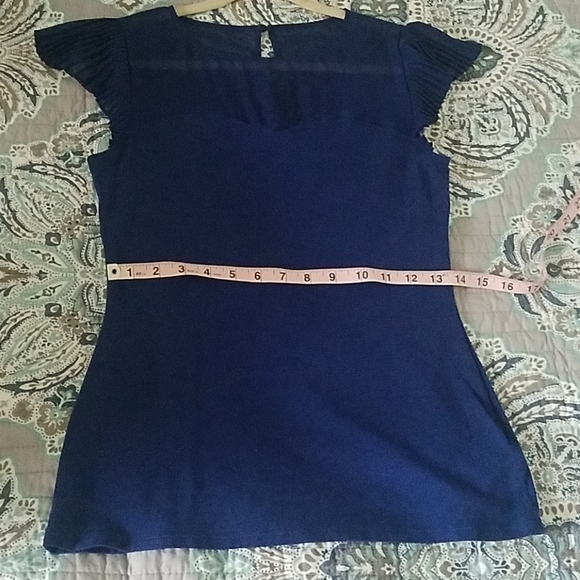Express Navy Sheer Pleated Blouse - Picture 5 of 6